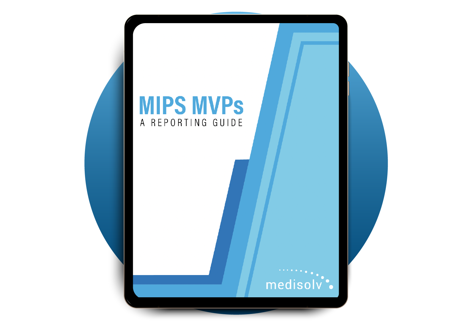 MIPS-MVP-Guidebook-Wide